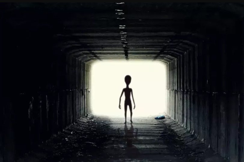 Yadplanetlilər nəyə bənzəyirlər? - filmlərdəki kimi deyilmiş