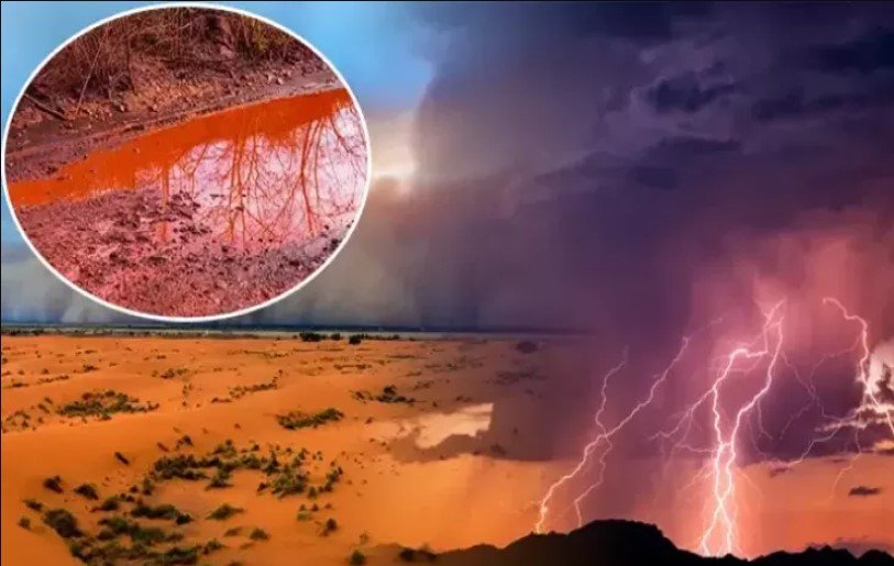 Göydən qan yağır? Küçələri qırmızıya boyayan və bütün Avropanı təşvişə salan sirr