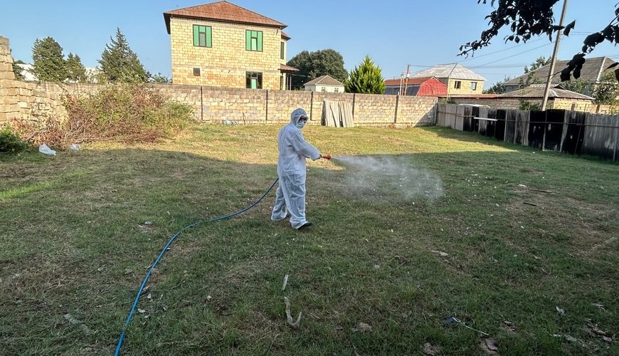 Azərbaycanda təhlükəli virus yayılıb? RƏSMİ CAVAB