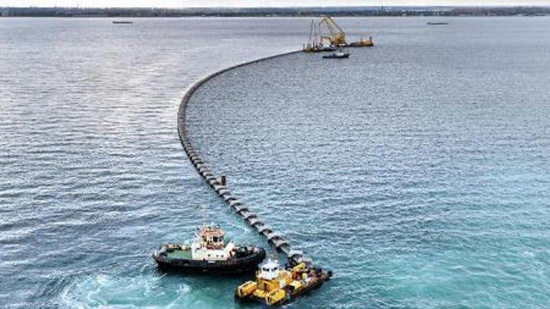 Xəzərə bu canlıların hücumu başlayıb? – Görüntülər narahatlıq yaratdı / FOTO
