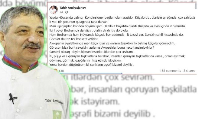 Tahir Əmiraslanovun sahibsiz itlərlə bağlı paylaşımı QALMAQAL yaratdı - FOTO
