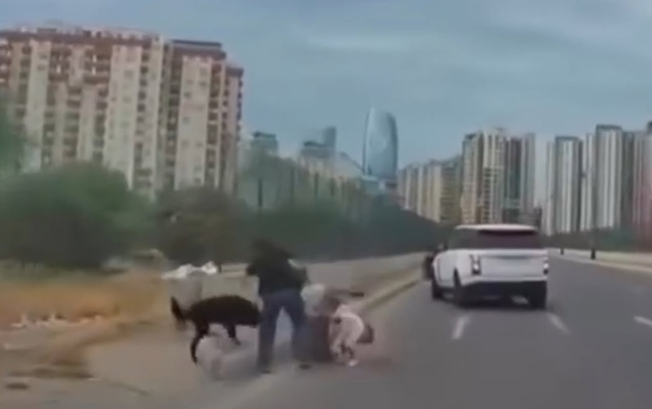 Bakıda sahibsiz it uşaqlı qadına hücum etdi - Video
