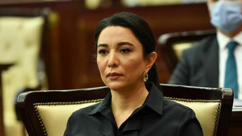 Ermənistanlı hüquq müdafiəçisinin səsləndirdiyi əsassız iddialara Ombudsman münasibət bildirdi