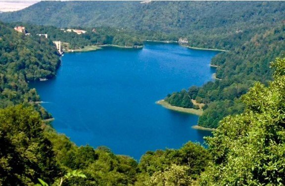 Göygöl Milli Parkı niyə hasarlanır? - Rəsmi açıqlama
